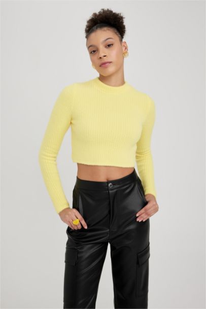 Regular Fit Crew Neck Knitted Pullover