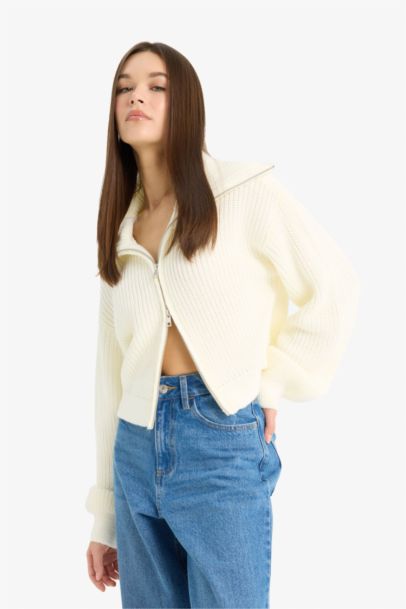 Cardigan en maille à col polo zippé Coupe slim