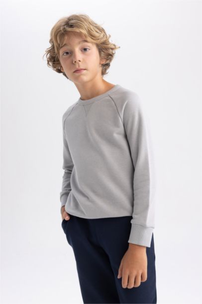 Regular Fit Crew Neck Sweatshirt