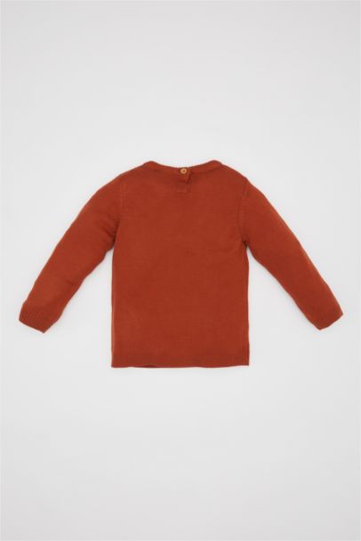 Baby Boy Crew Neck Basic Knitted Pullover