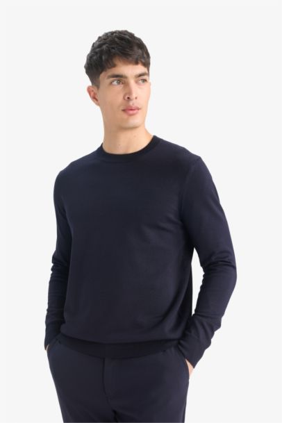 Регулярный крой с круглым вырезом трикотажный свитер