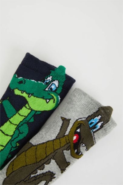 Boy 2 Piece Cotton Long Socks