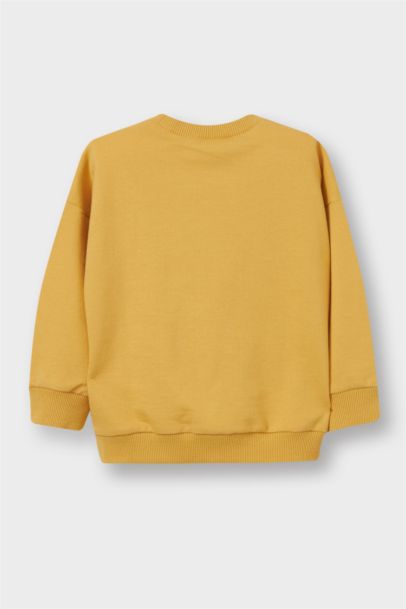 سويت شيرت ولادي سادة قصة عادية بياخة مستديرة