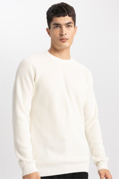 Standard Fit Crew Neck Basic Knitted Pullover