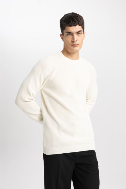 Standard Fit Crew Neck Basic Knitted Pullover