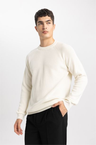 Standard Fit Crew Neck Basic Knitted Pullover