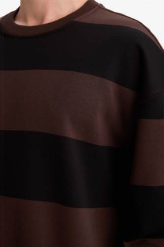 Boxy Fit Crew Neck Striped Sweatshirt