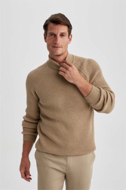 Standard Fit Turtleneck Knitted Pullover