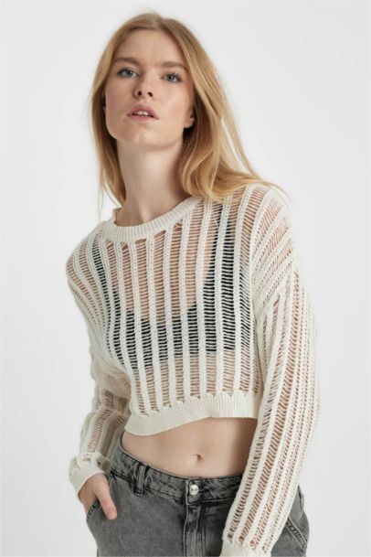 Pull Coupe Régulière Col Rond En Maille Côtelée