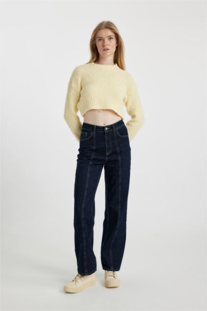 Regular Fit Crew Neck Knitted Pullover