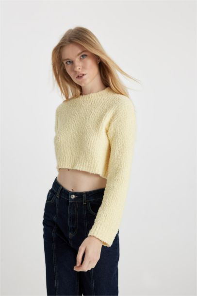 Regular Fit Crew Neck Knitted Pullover