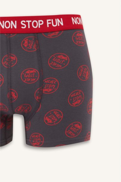 Regular Fit Patterned 3 Piece Boxers