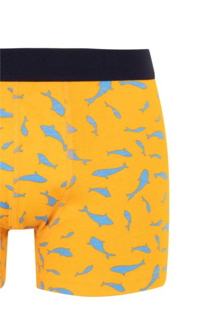 3 piece Regular Fit Boxer