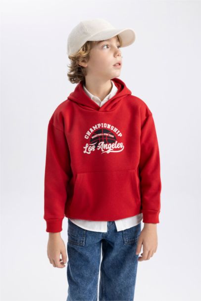 Boy Regular Fit Hooded Sweatshirt