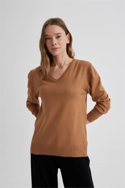 Regular Fit Knitwear Pullover