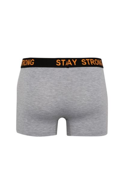 3 piece Regular Fit Boxer