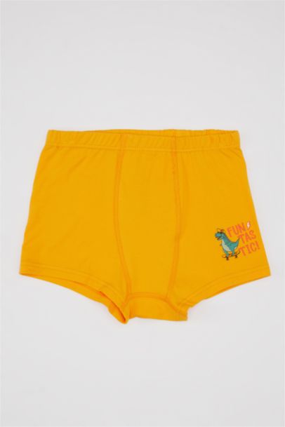 Boy 3 piece Printed Boxer