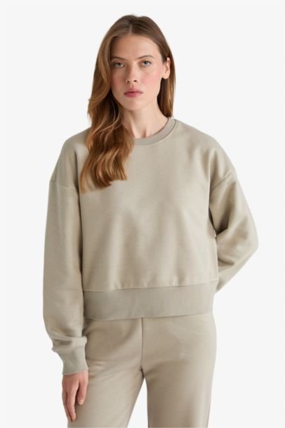 Boxy Fit Basic Sweatshirt