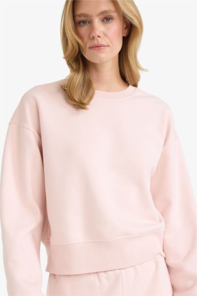Boxy Fit Crew Neck Basic Sweatshirt