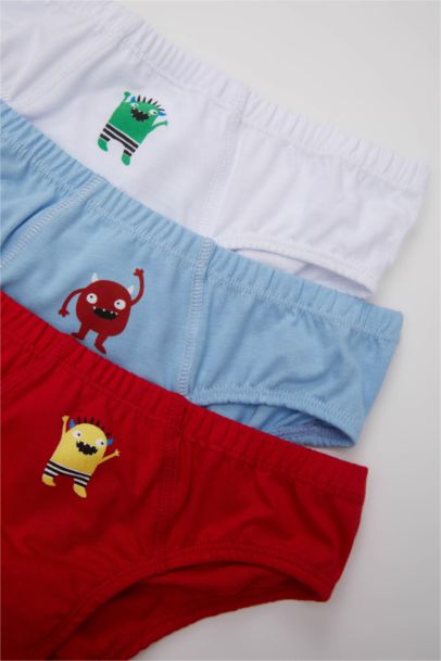 Boy 3 Piece Slip Panties