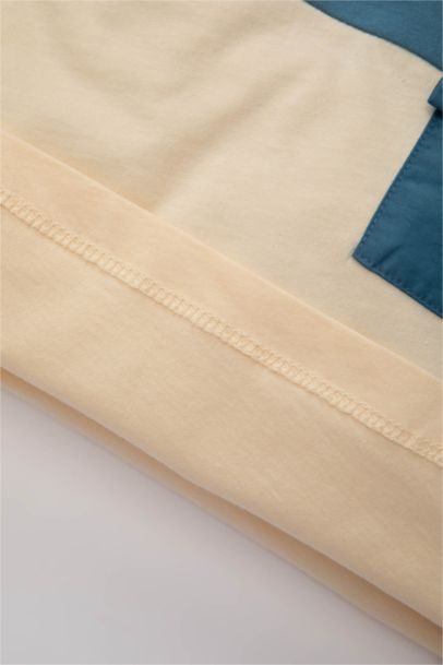 Baby Boy Regular Fit Crew Neck Color Block T-Shirt