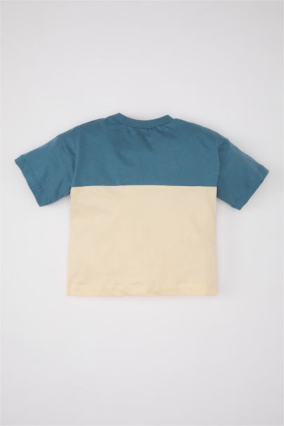 Baby Boy Regular Fit Crew Neck Color Block T-Shirt