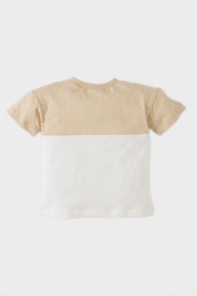 Baby Boy Regular Fit Crew Neck Color Block T-Shirt