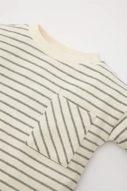 Baby Boy Regular Fit Crew Neck Striped T-Shirt