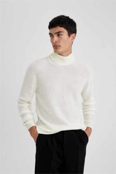 Pull tricot Coupe Standard à Col Roulé