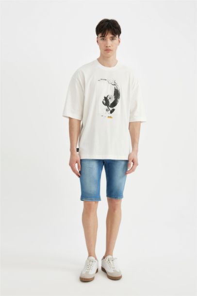 Loose Fit Crew Neck Printed T-Shirt