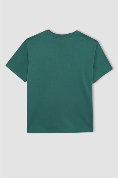 Boy Regular Fit Crew Neck Printed Short Sleeve T-Shirt