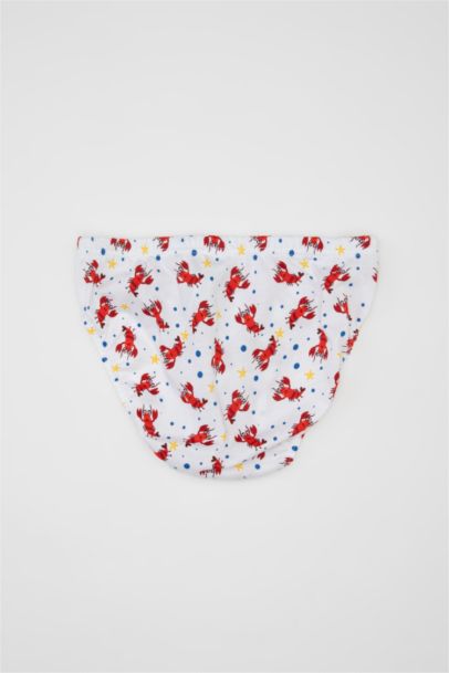 Boy 3 Piece Cotton Slip Panties
