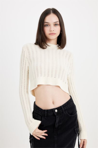 Regular Fit Crop Bisiklet Yaka Örgü Delikli Triko Kazak