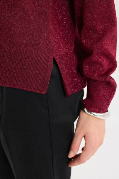 Regular Fit Crew Neck Knitwear Pullover