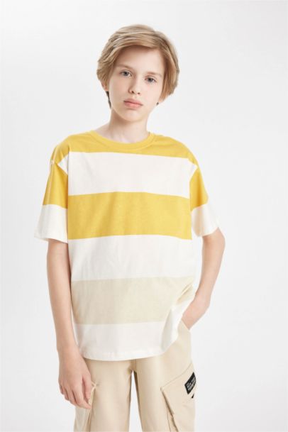 Boy Crew Neck Striped T-Shirt