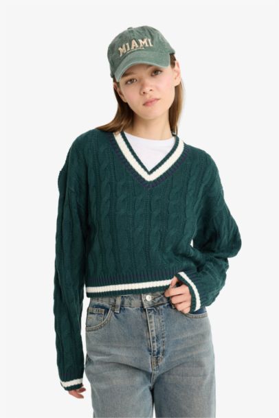 Regular Fit V Neck Knit Pullover