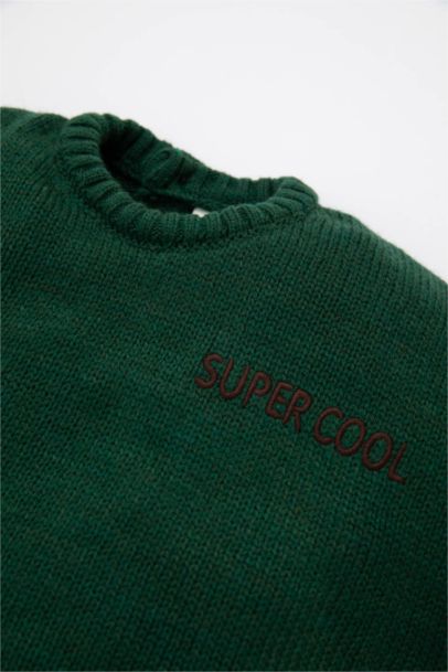 Baby Boy Crew Neck Printed Knitted Pullover