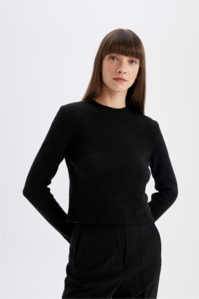 Black Regular Fit Crew Neck Premium Basic Crop Pullover