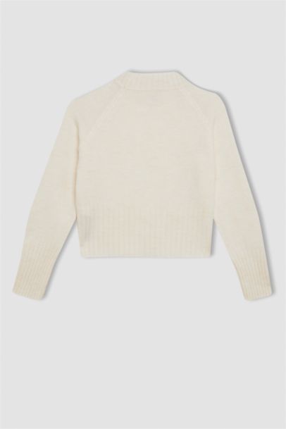 Girl Standard Fit Crew Neck Knitted Pullover