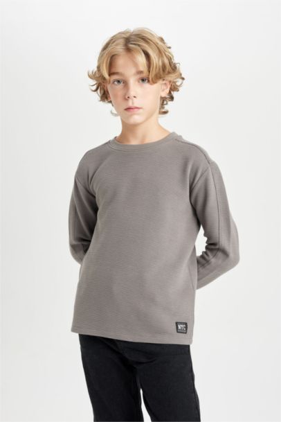 Boy Regular Fit Crew Neck Long Sleeve Basic T-shirt