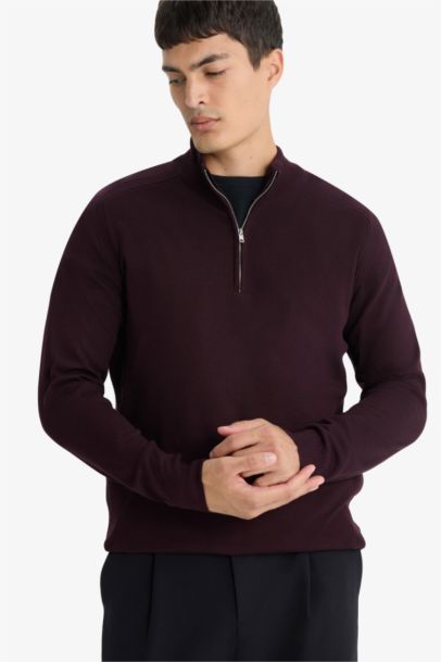 Standard Fit Stand Collar Half Zippered Knit Pullover