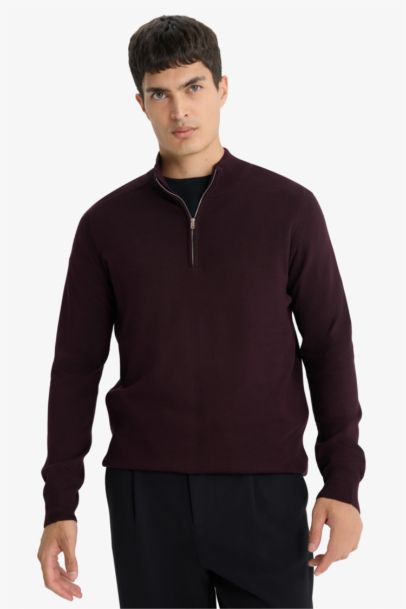 Standard Fit Stand Collar Half Zippered Knit Pullover