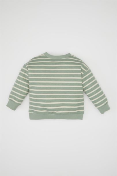 Baby Boy Crew Neck Striped Sweatshirt