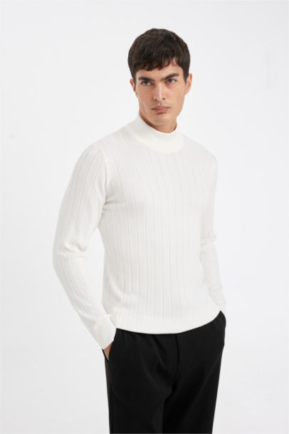 Pull Tricot à Col roulé Coupe standard
