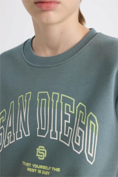 Boy Crew Neck Printed Thick Sweatshirt