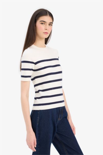 Regular Fit Crew Neck Striped Knitwear Pullover