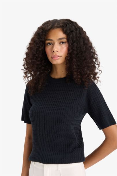 Regular Fit Crew Neck Knitwear Pullover