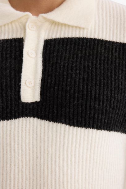 Pull tricot à col polo Coupe standard