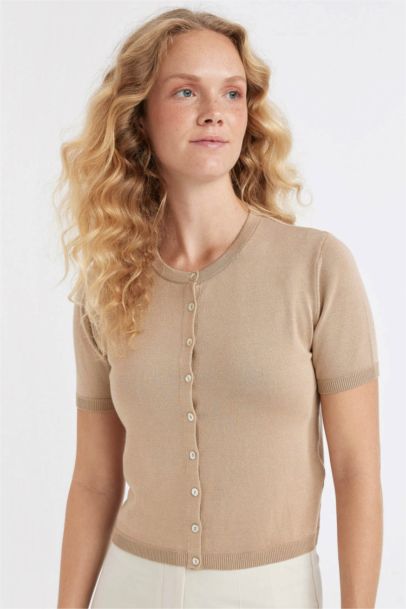 كارديجان سامبل نص كم قصة عادية