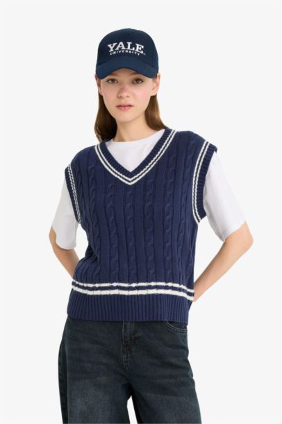 Regular Fit V-Neck Knit Pullover